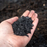 バイオ炭とは?メリット・デメリット、J-クレジット制度の活用について解説