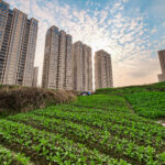 都市農業とは?現状やメリット・デメリット、事例を紹介